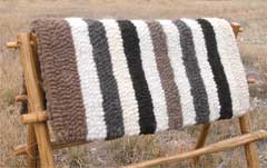 Saddle Blanket